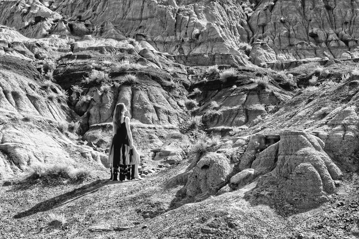 Horseshoe Canyon, Alberta